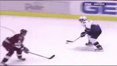 Hockey player body checks goalie into net