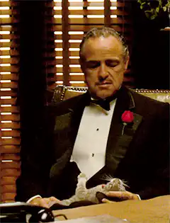 Don Corleone petting a cat