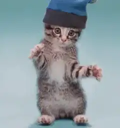 kitten wearing santa hat dancing