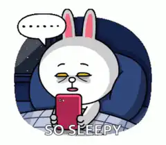 Brown Cony So Sleepy