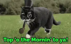 Black cat with monocle and pipe