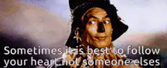 Sometimes it is best to follow your heart not someone elses