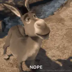Donkey shaking head no