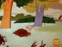 Wile E. Coyote gets hit by a giant rock