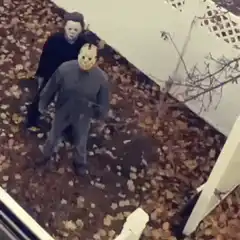 Michael Myers and Jason Voorhees fighting