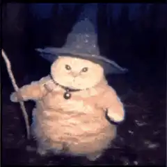 Dancing cat in witch hat