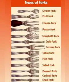 Types of forks infographic
