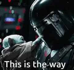 The Mandalorian and Grogu This is the way