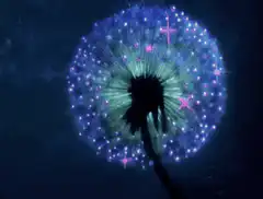 glowing dandelion with stars