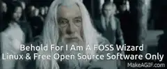 Dumbledore FOSS Wizard