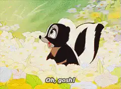 Flower Skunk Oh Gosh