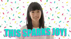 Marie Kondo This Sparks Joy