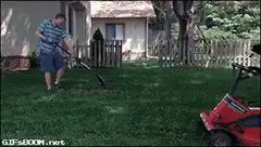 Dog driving a lawnmower
