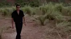 That is one big pile of shit