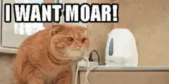Cat wants moar then laser eyes