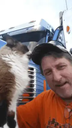 cat licks man's hat