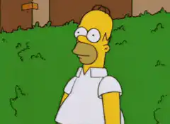 Homer Simpson falls into a hole