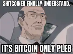 Shitcoiner Finally Understand It's Bitcoin Only Pleb