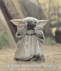 Baby Yoda We Are The Wise Ones