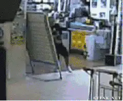 Man runs into glass door