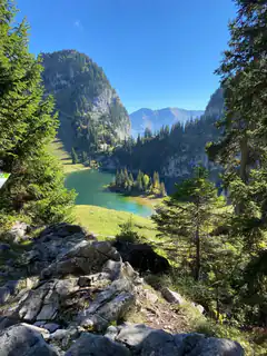 Mountain lake view through trees