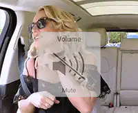 Car Singer Mute Volume