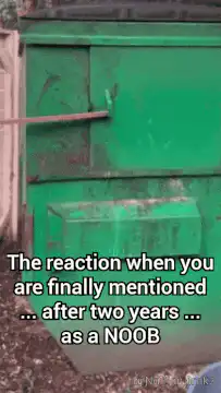 Raccoon dancing in dumpster