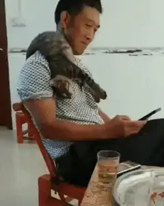 Man with cat on shoulder using phone