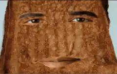 Toasted Bread Face Exploding