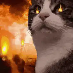 Cat with burning eyes in front of fire