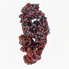 Rotating DNA double helix