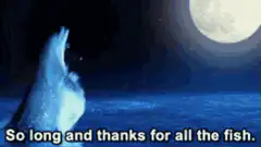 Dolphins jumping out of water at night