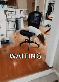 cat waiting on office chair