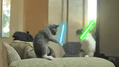 kittens fighting with lightsabers