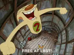 Cat with number 2 free at last