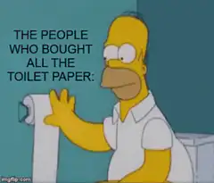 Homer Simpson toilet paper meme
