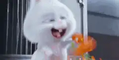 Snowball the rabbit holds a key