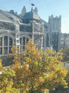 Autumn trees in front of a castle-like building