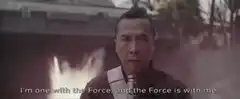 Donnie Yen I'm one with the Force
