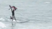 Surfer lifts dolphin over head