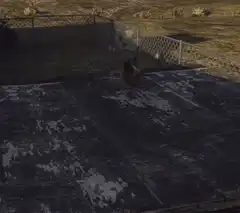 Rooster dancing on a roof