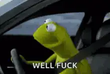 Kermit the Frog Well Fuck