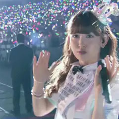 Idol salutes and smiles at concert
