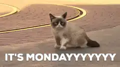 Grumpy Cat It's Monday