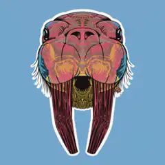 Colorful walrus head sticker