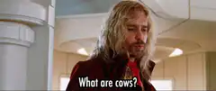 What are cows? Ben Stiller