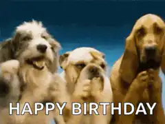 Three dogs singing happy birthday