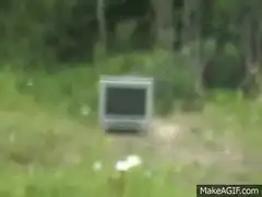 TV exploding in the woods