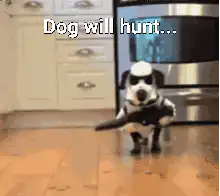Dog in stormtrooper costume with blaster