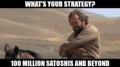 What's Your Strategy 100 Million Satoshis